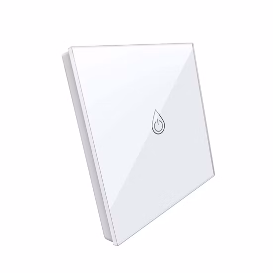 Smart Home WiFi Voice Control Water Heater Electrical Tact Switch